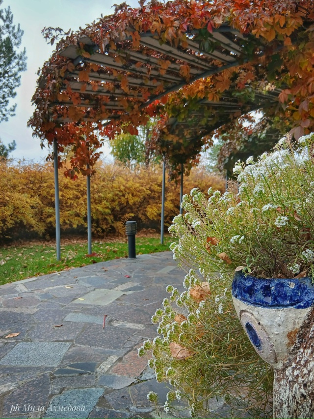 Впереди выходные, погода без дождя.🌤 Прекрасная возмо...