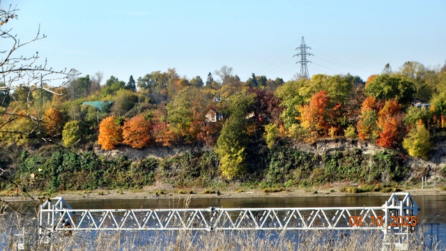 Осень в городе.На фото №3 Энт - пастырь деревьев из Влас...