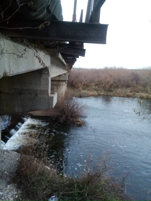 Немного позитива в ленту.На снимках,октябрь 2025 года,на ...