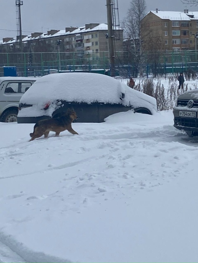 Прошу предупредить всех, что по адресу 6 мкр д 25 (сзади н...