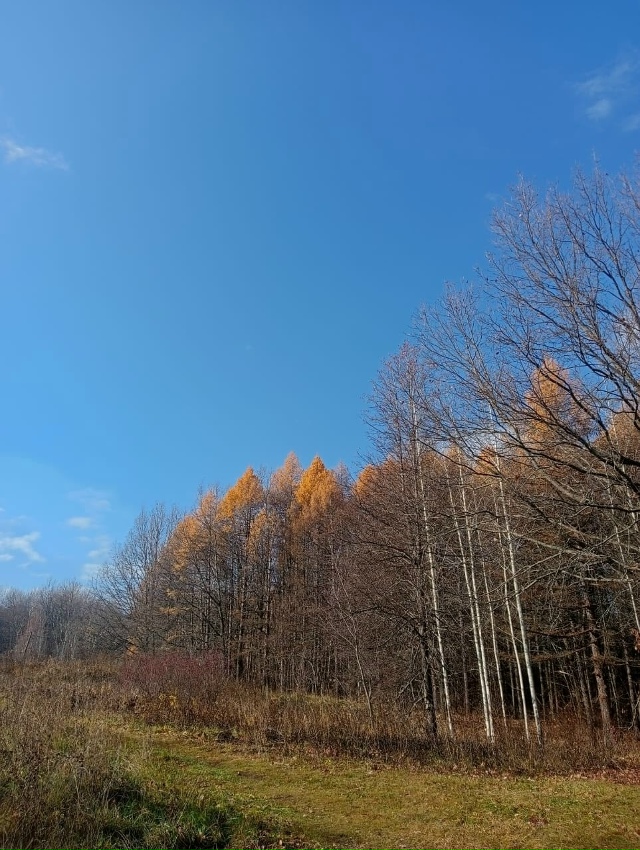 ПРИРОДА ДУХОВОЙ