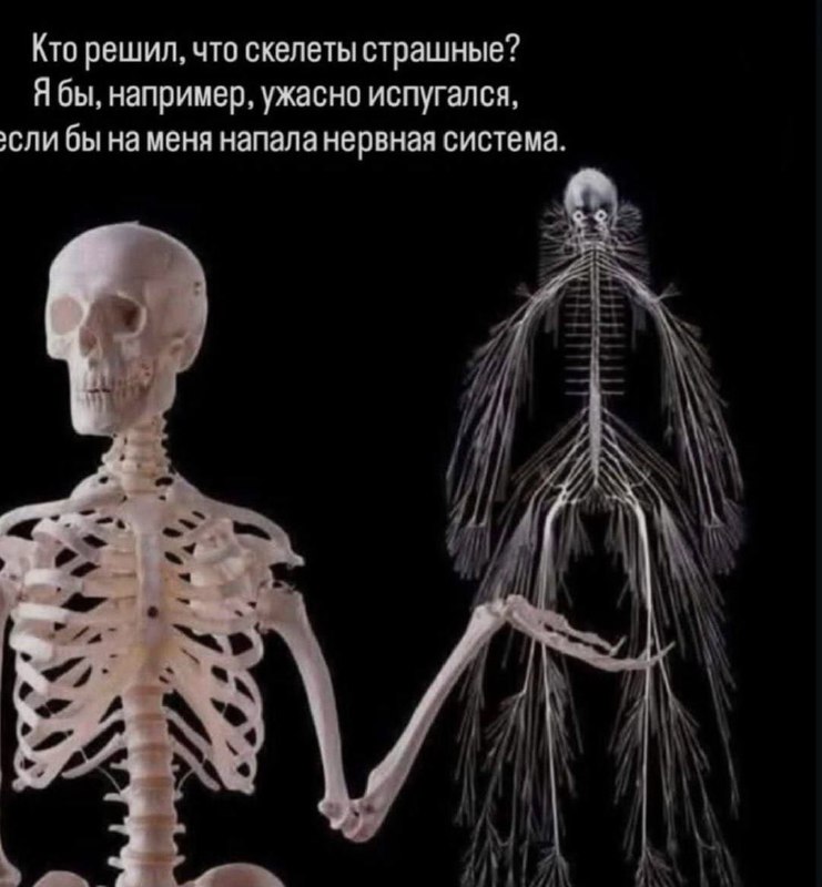 Ночная подборочка
Спать, режим