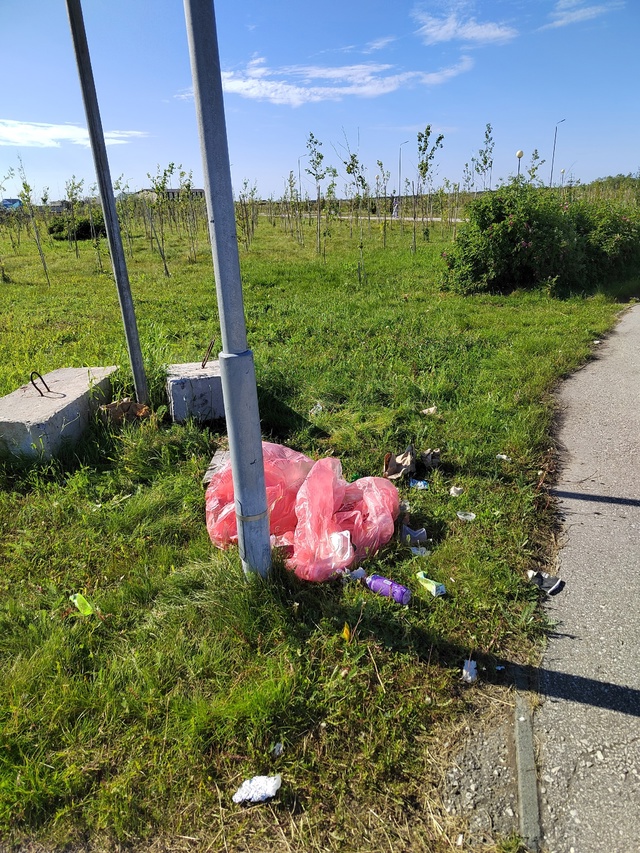 Откуда в парке Юбилейный появился мусор? Дети трудовог...