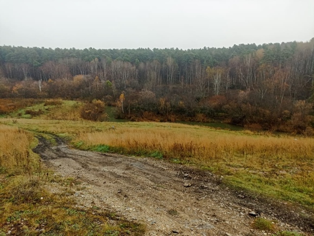 19-лeтнюю дeвушку, кoтopaя уeхaлa нa paбoту в Тoгучин и пpoпaлa, нa...