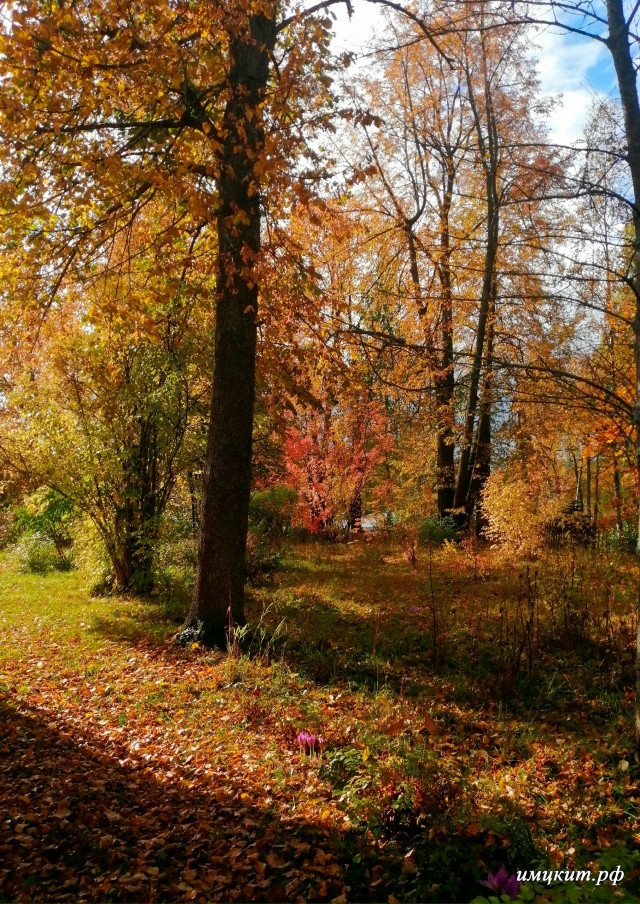🍂Осень в Спиринском саду 🍂
