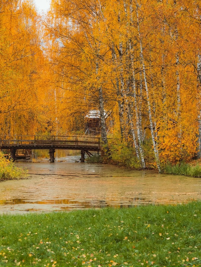 Костромская слобода 🇷🇺