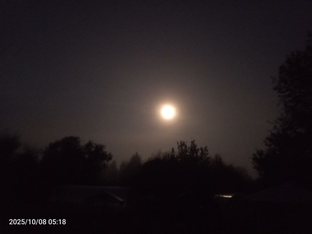 Ночная Асташиха.
Ночь. Туман. Фонарь. Деревня.
Одинока?...