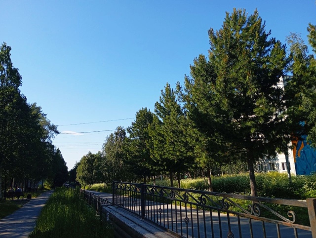 🌤️ Сегодня днём потеплеет до +24°C! ☀️
Самые тёплые ча...