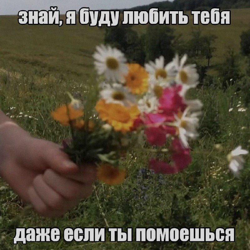 Ночная подборочка
Спать, режим