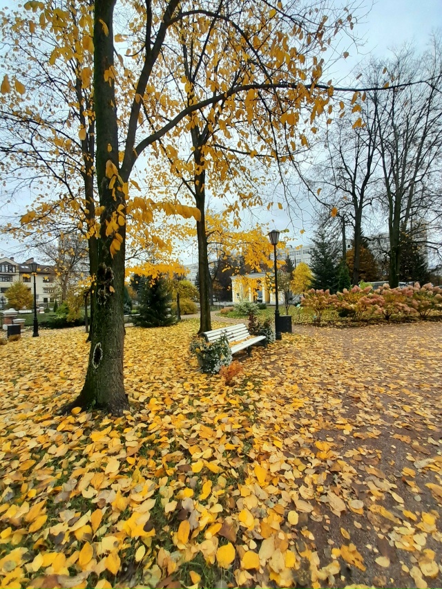 Осень в Карякинском саду ❤️
📷 Елена Михайлова