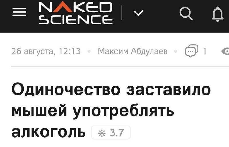100% понимания