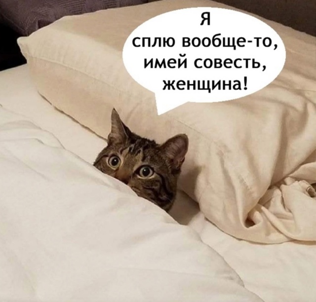 Это вообще очень возмутительно