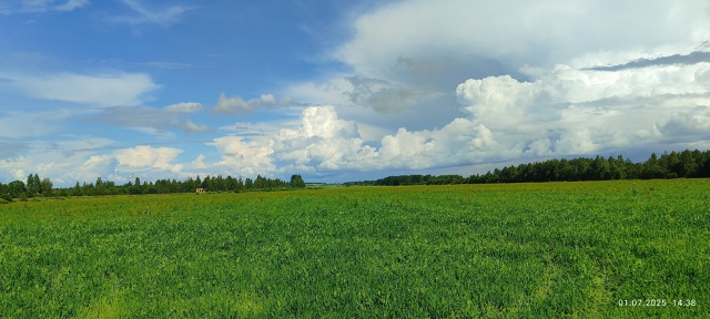 Частичка лета =) как прошло, успели отдохнуть и напитат?...