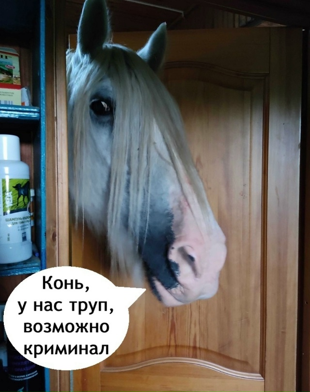 Выезжаем немедленно