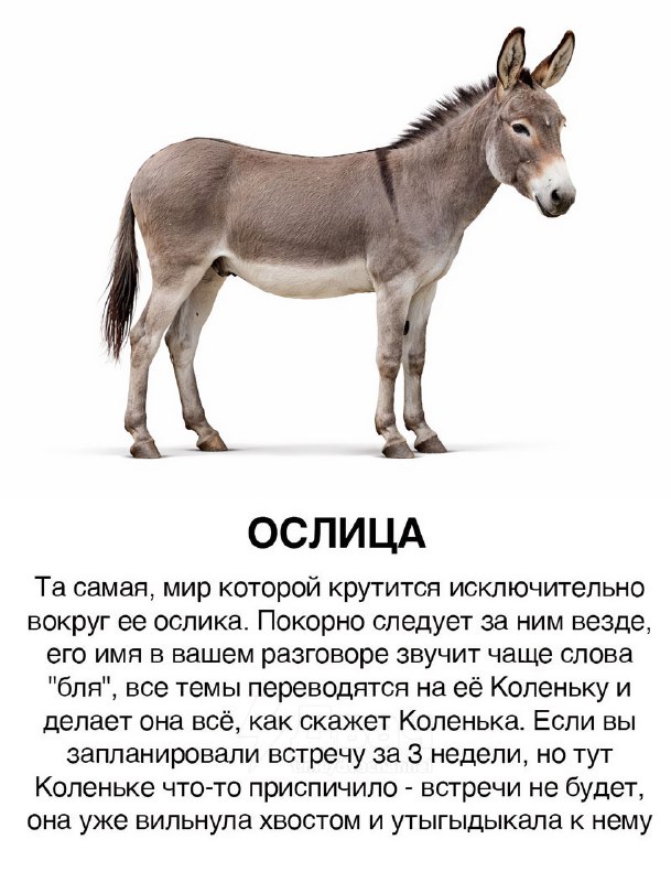 Появилась классификация тянок в виде лошадей
Ищем себя, скидываем подружкам