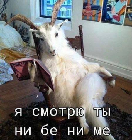 я, у которой 15 часов экранного времени, смотрю на того, у кого есть личная жизнь и кто не понял при