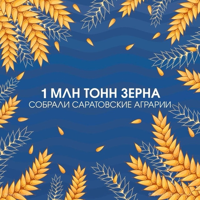 🌾 Саратовские аграрии собрали один миллион тонн зерн?...