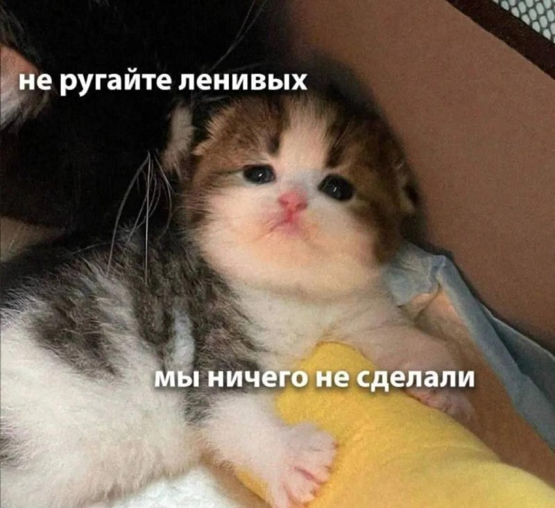 Лень полезна для иммунитета.
Такое мнение высказал кандидат медицинских наук из Пермского политеха.
