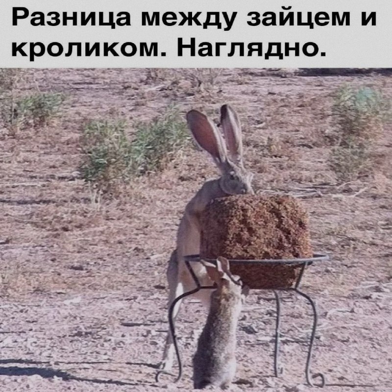 Ночная подборочка
Спать, режим