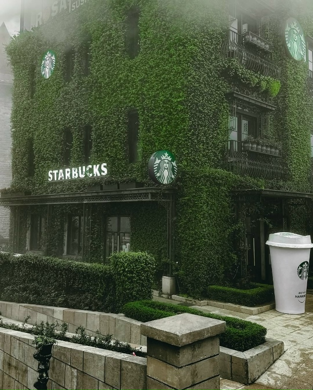 ☕️ Кофейная пауза в Дананге, Вьетнам