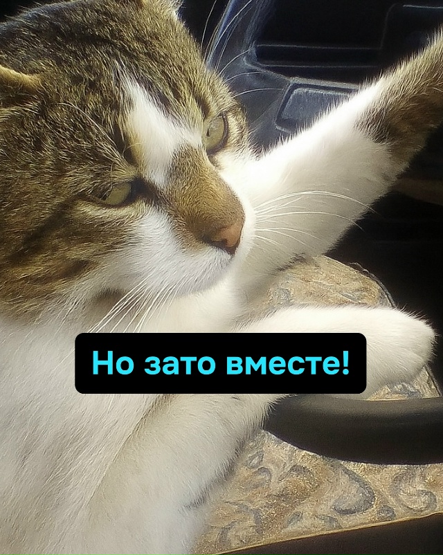 Когда кукуха уезжает, лучше, если она уезжает не одна, а...