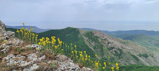 Министр экологии и природных ресурсов Республики Крым...