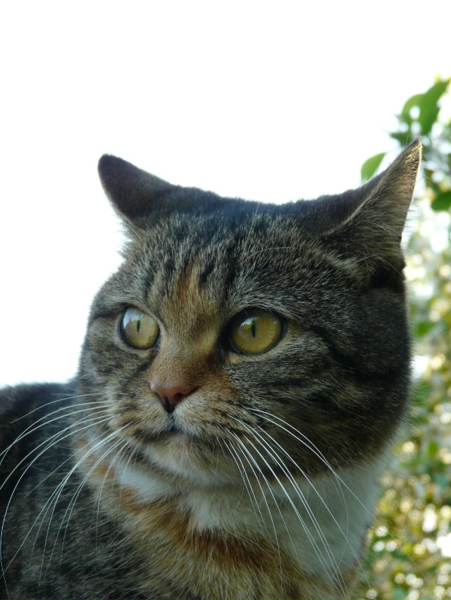 Зина и настроение!)))