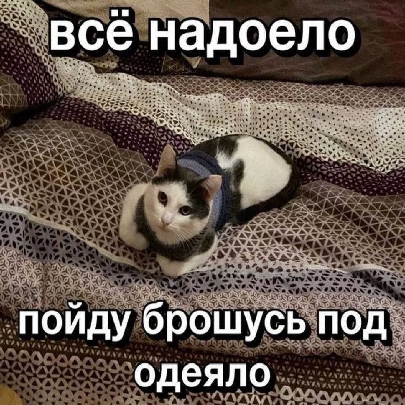 Утренняя подборочка