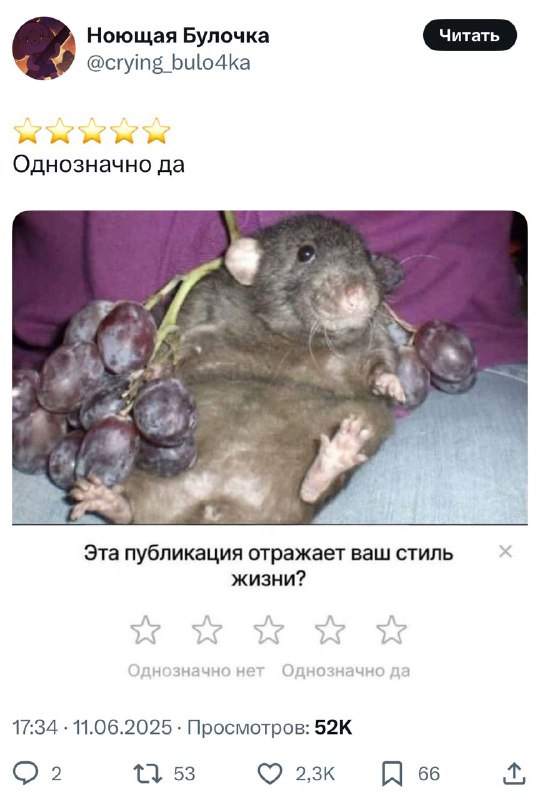 Ну мы 💅