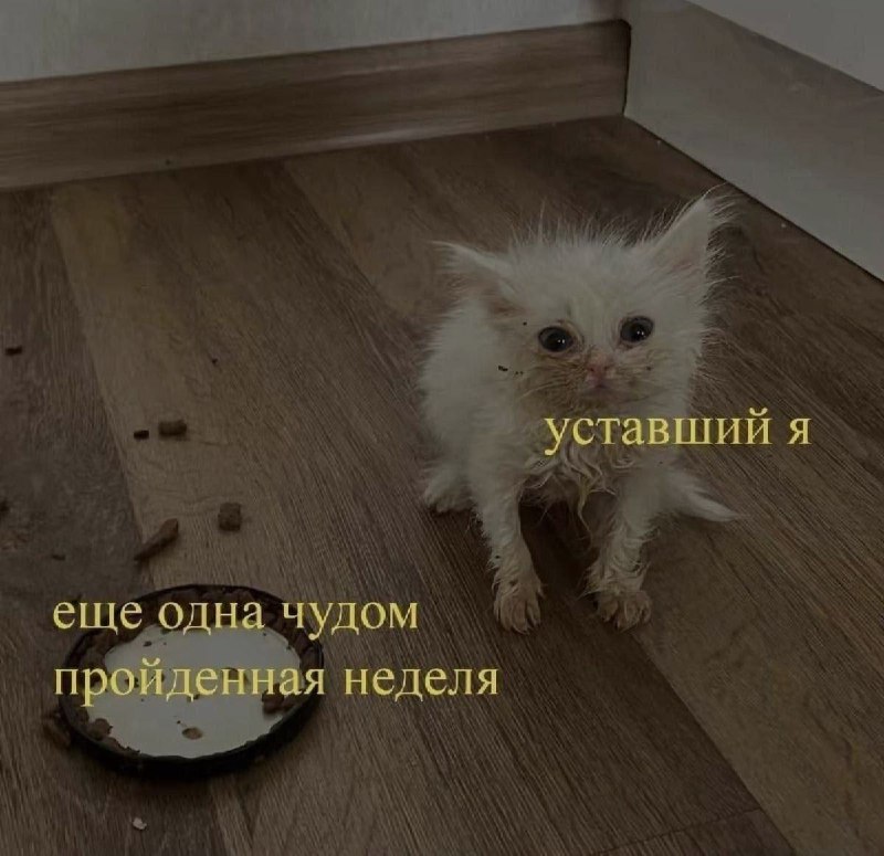 Ночная подборочка
Выходные, не спим