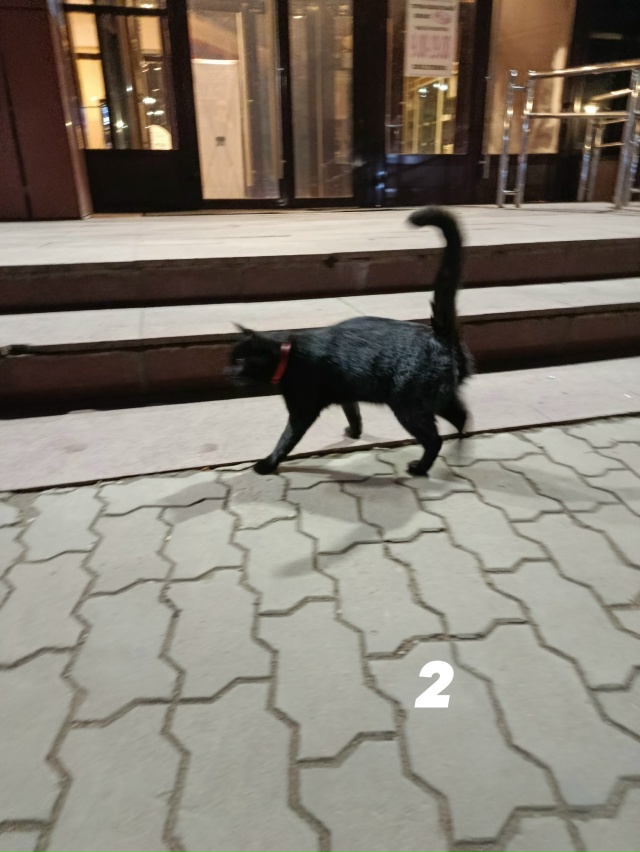 Потеряшки/находки:
1) Чья потеряшка? 89212975503 для связи.
(ф...