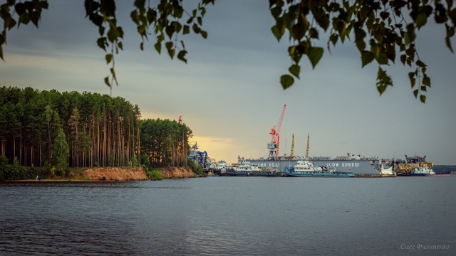 Спокойной ночи 🌙
Фото: Олег Филипенко