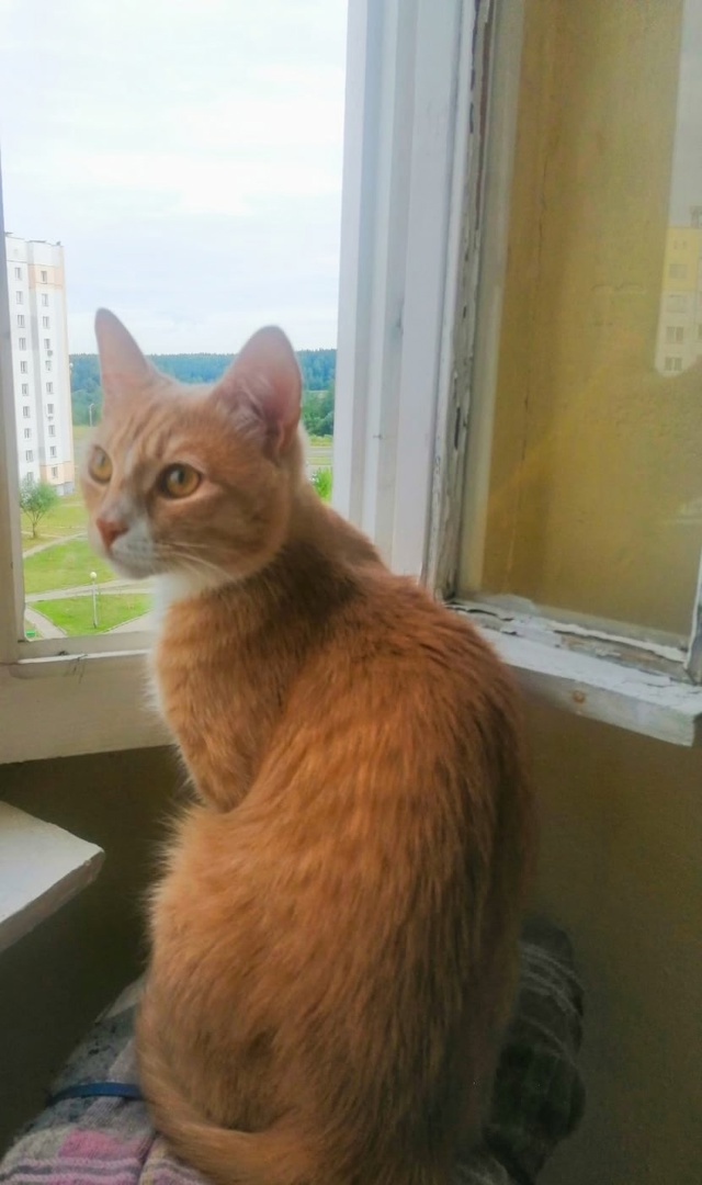 Сэм хулиганит....