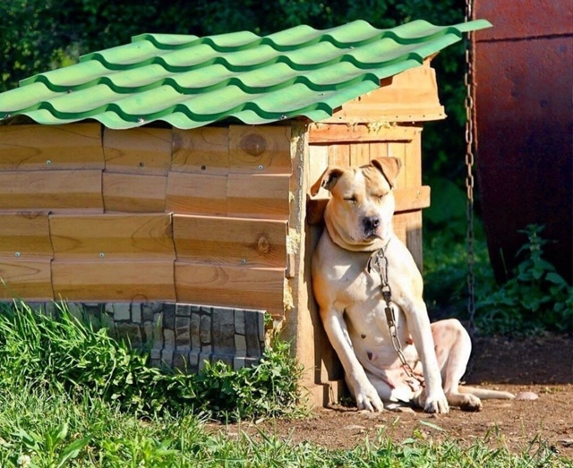 Солдат спит - служба идет 🤣 Анон