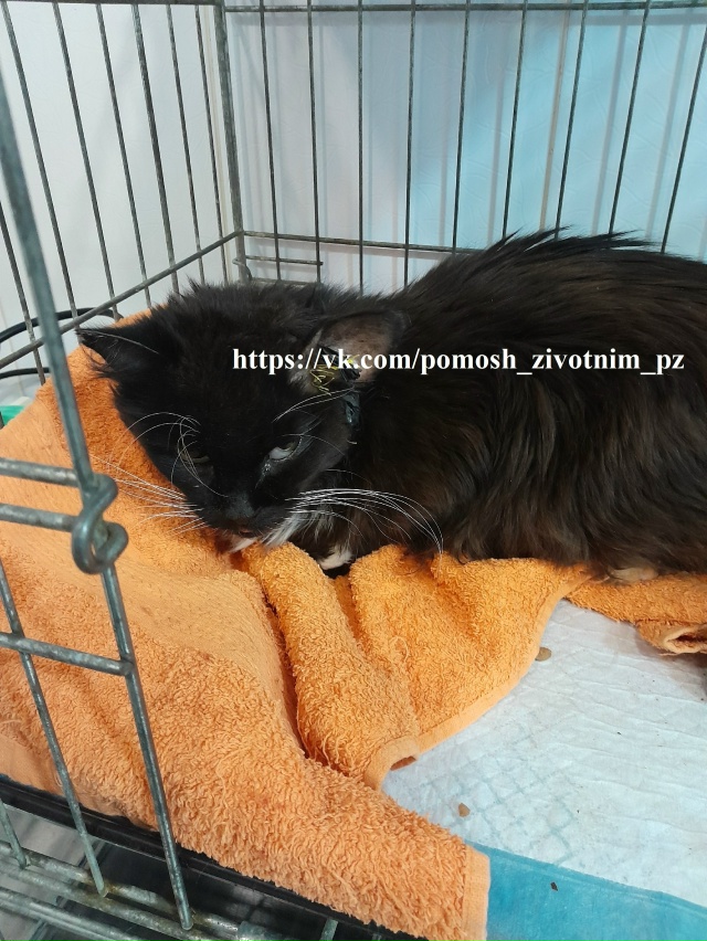 Друзья!
КАТАСТРОФИЧЕСКИ СРОЧНО!
Мы снова к вам с прось...