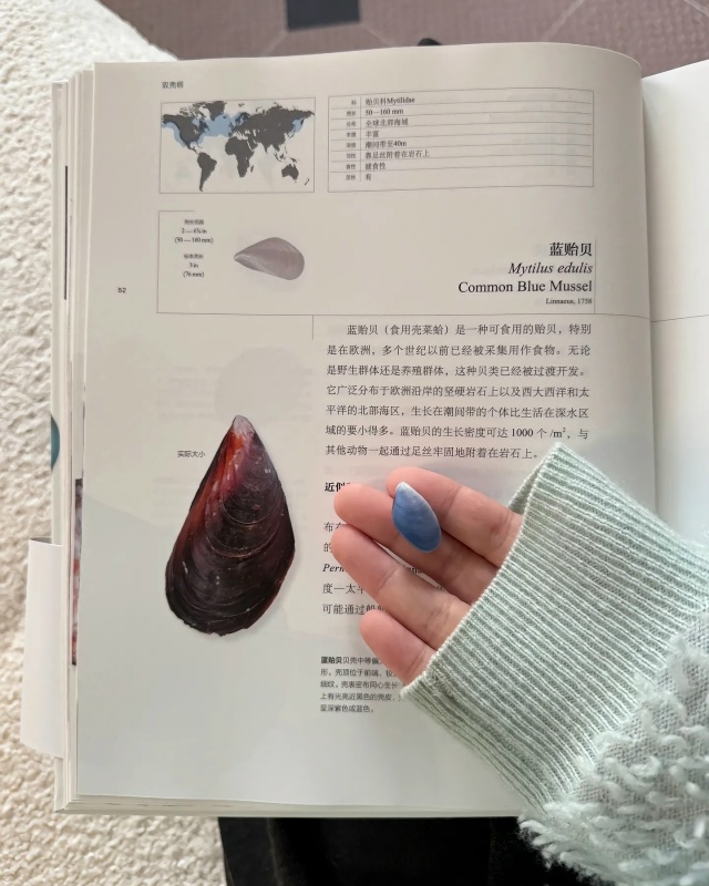 Потрясающая коллекция