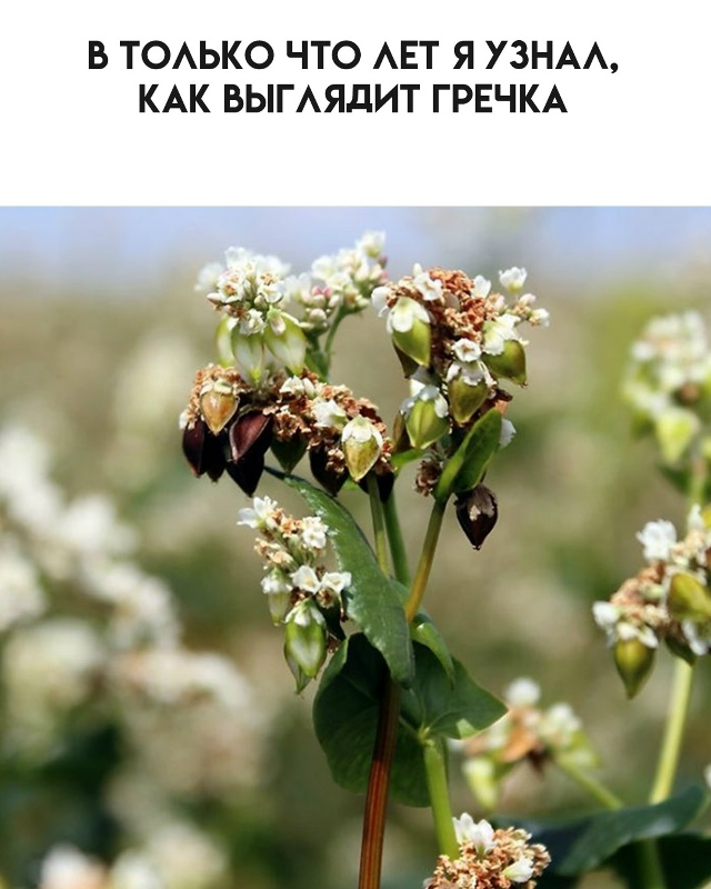 А ведь я не всё знал...