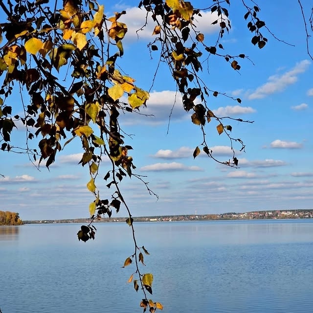 Осенние пейзажи🍂