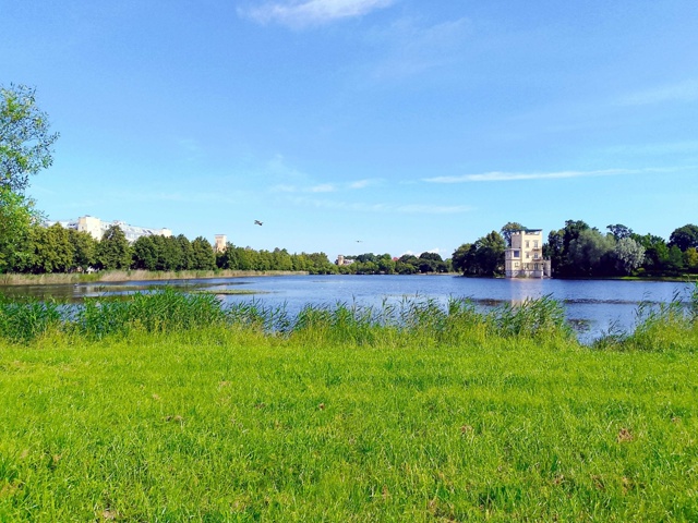 В Колонистском парке Петергофа