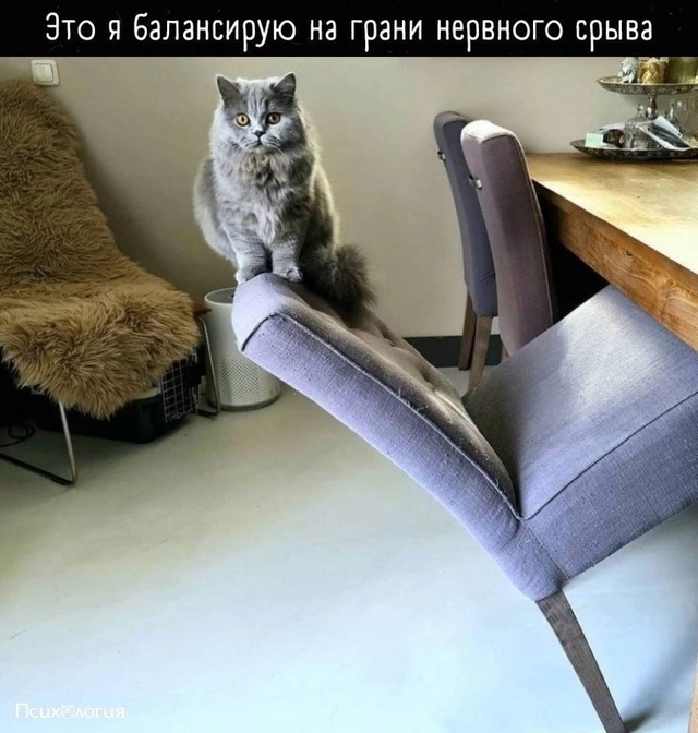 Коротко про мою нервную систему: