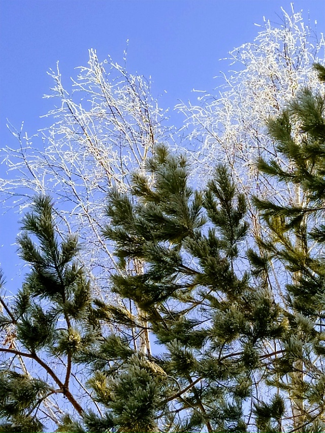 Пермский край
Автор фото Татьяна Шмонова