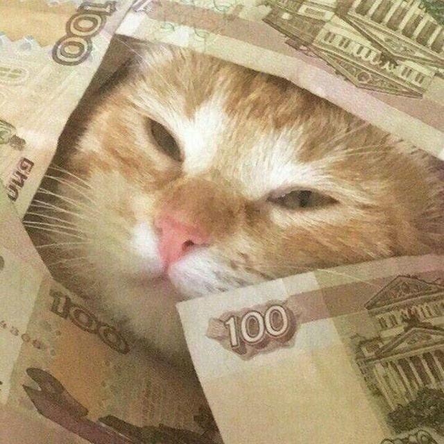 Только 2,7% жителей Башкирии зарабатывают больше 200 тыс. ...