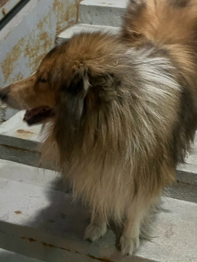 Вчера видели на пешеходном мосту возле тц Озон кабеля ?...