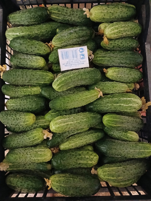 Продам домашние огурчики 50 р/ кг .
89022478162
