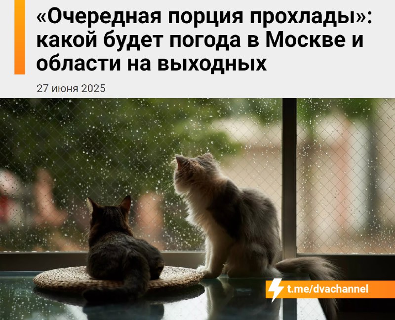 ❗️Москвичи будут мёрзнуть: синоптики обещают холодное лето в Москве — в июле не стоит ждать устойчив