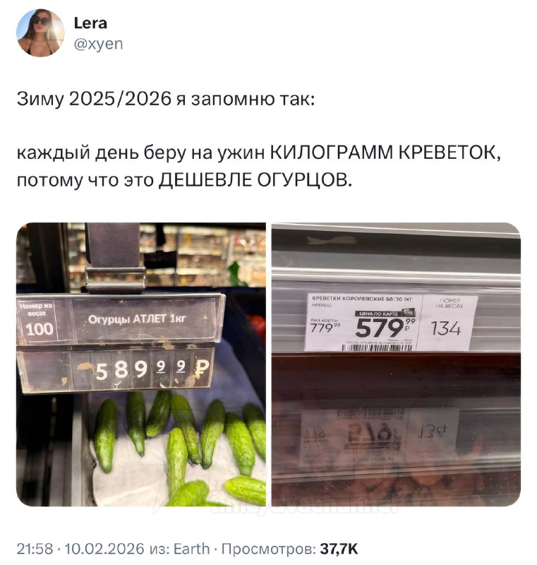 Цены на огурцы улетели в стратосферу — теперь королевские креветки стоят дешевле
Килограмм деликате