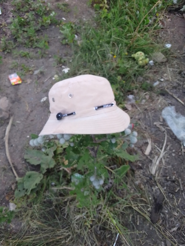 Кто потерял