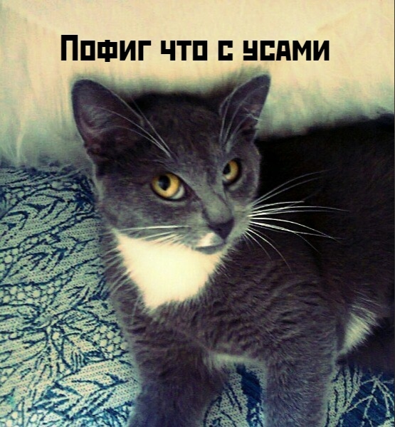 😂😂😂