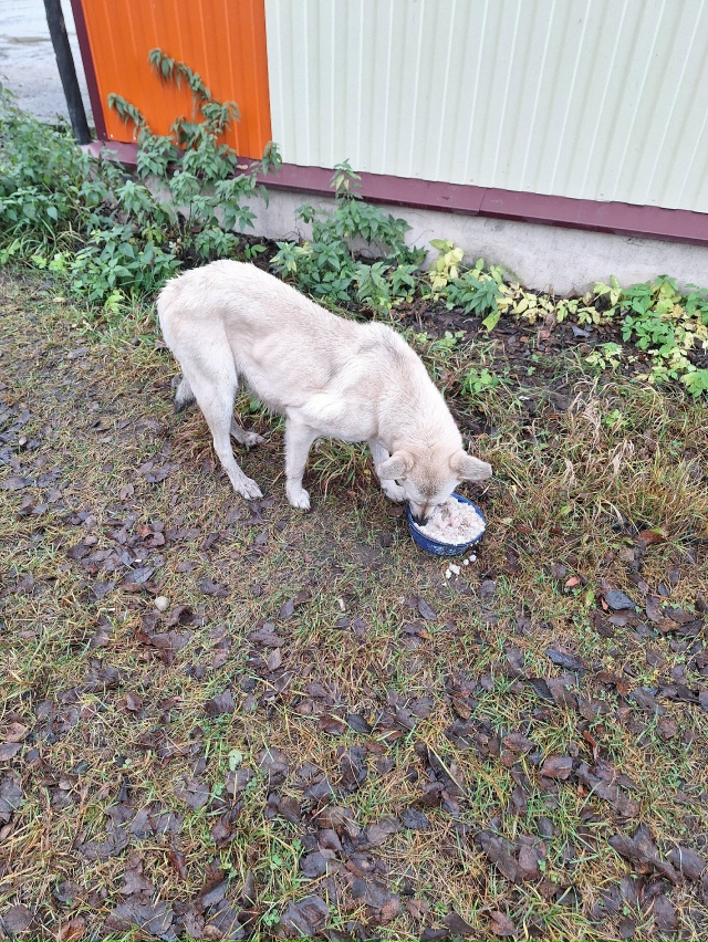 Девчуля никому не нужна!
Оказывается, у неё была горе-«?...