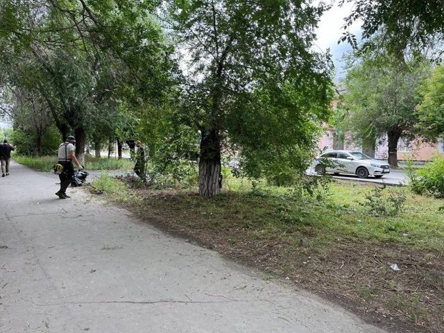 🌿 В Орске продолжается активная борьба с сорняками на...